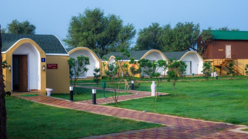 Want More Fun? How You Can Use Fungram Ideas Right Now